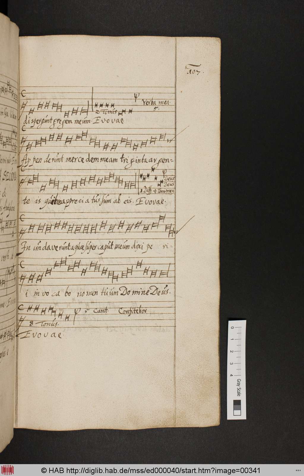 http://diglib.hab.de/mss/ed000040/00341.jpg