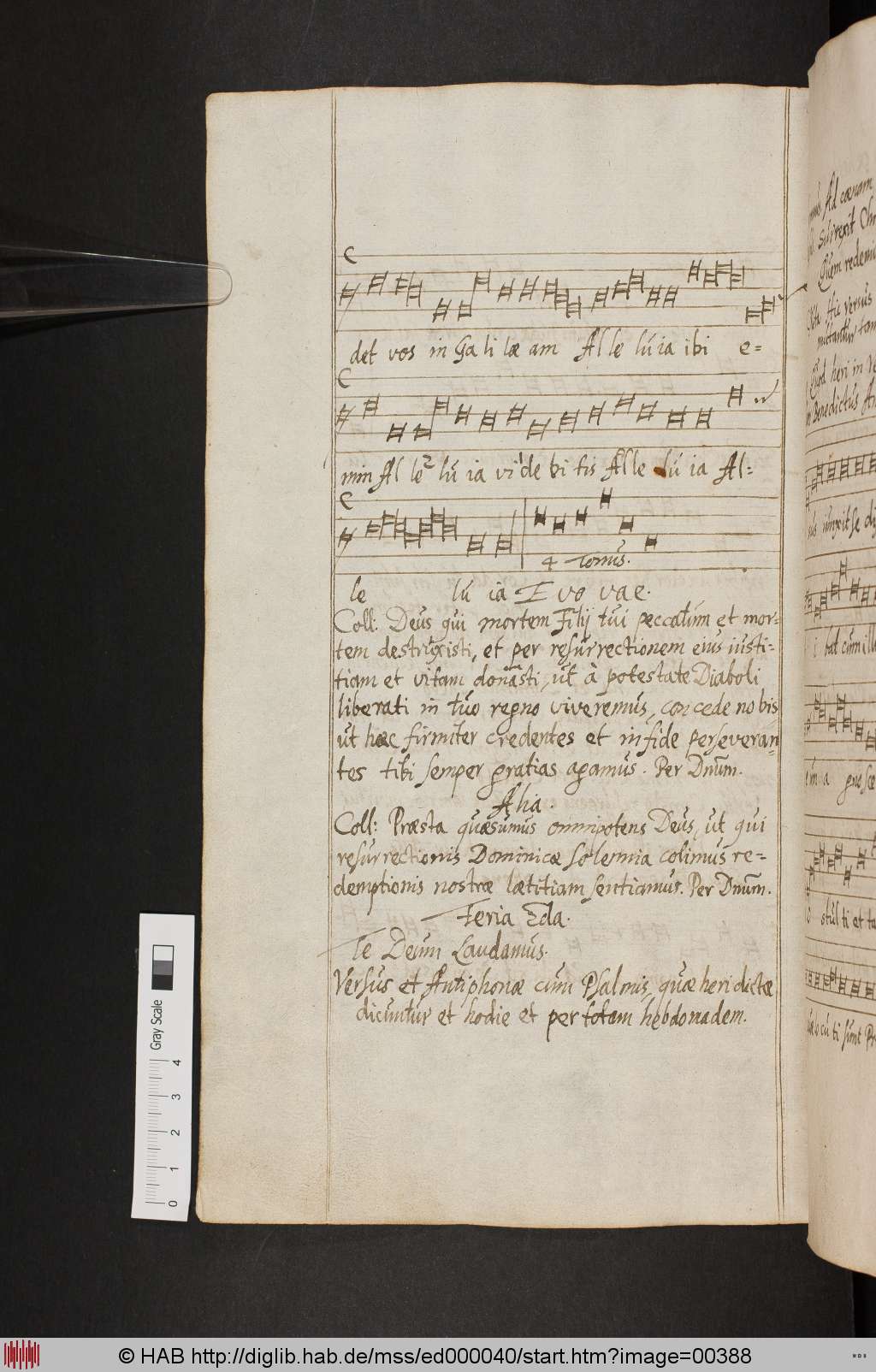 http://diglib.hab.de/mss/ed000040/00388.jpg