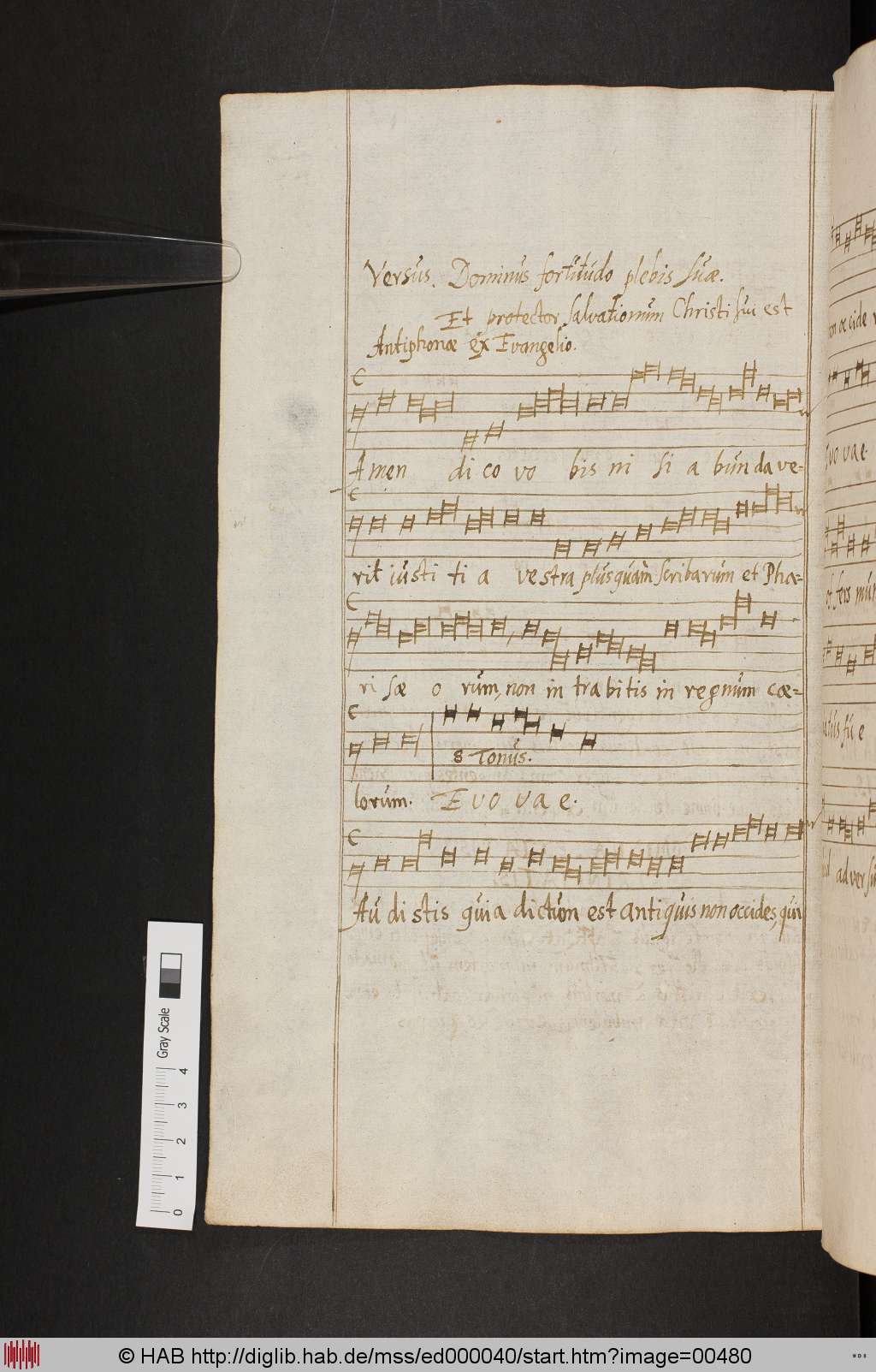 http://diglib.hab.de/mss/ed000040/00480.jpg
