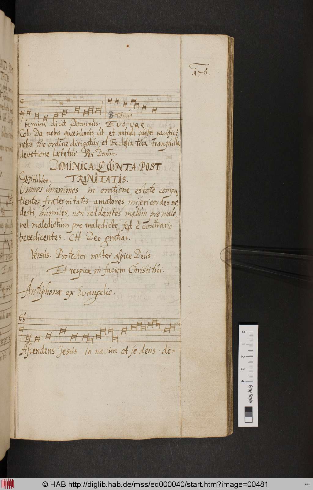 http://diglib.hab.de/mss/ed000040/00481.jpg
