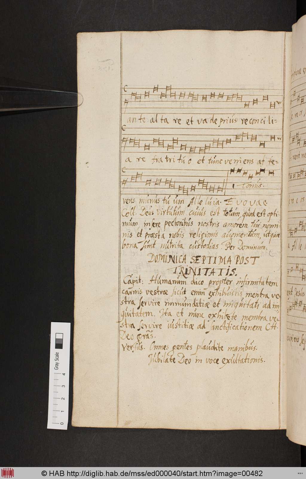 http://diglib.hab.de/mss/ed000040/00482.jpg