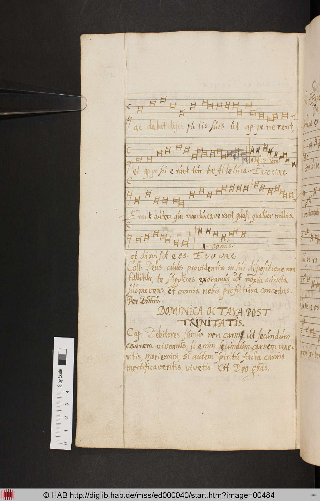 http://diglib.hab.de/mss/ed000040/00484.jpg