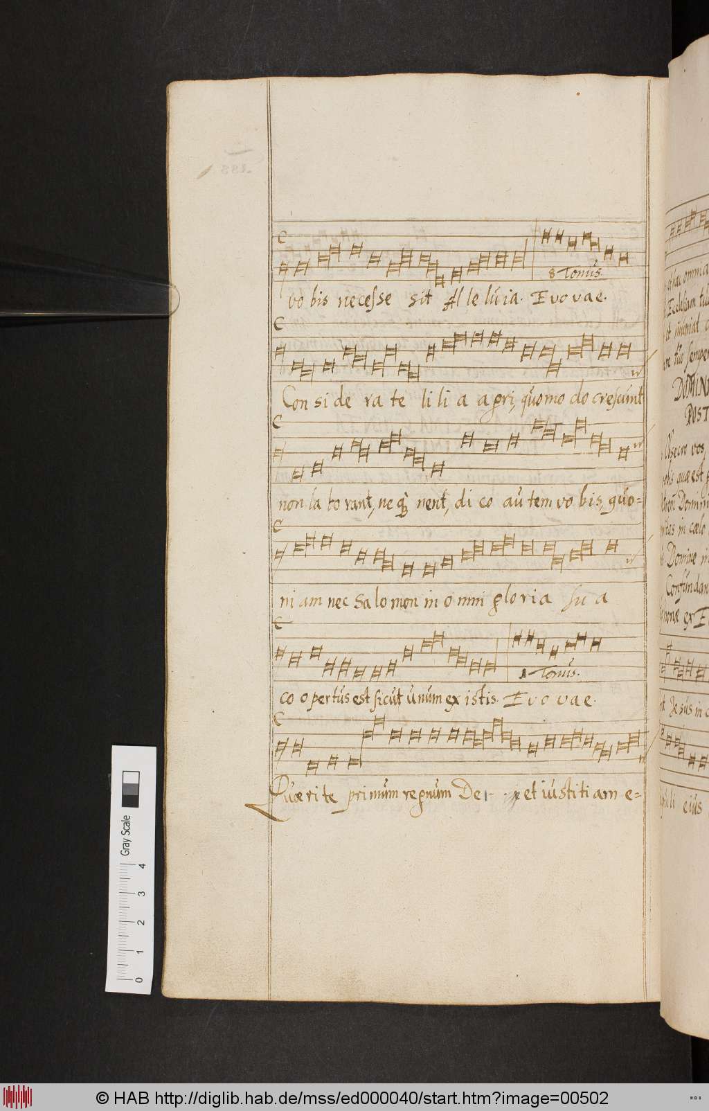 http://diglib.hab.de/mss/ed000040/00502.jpg