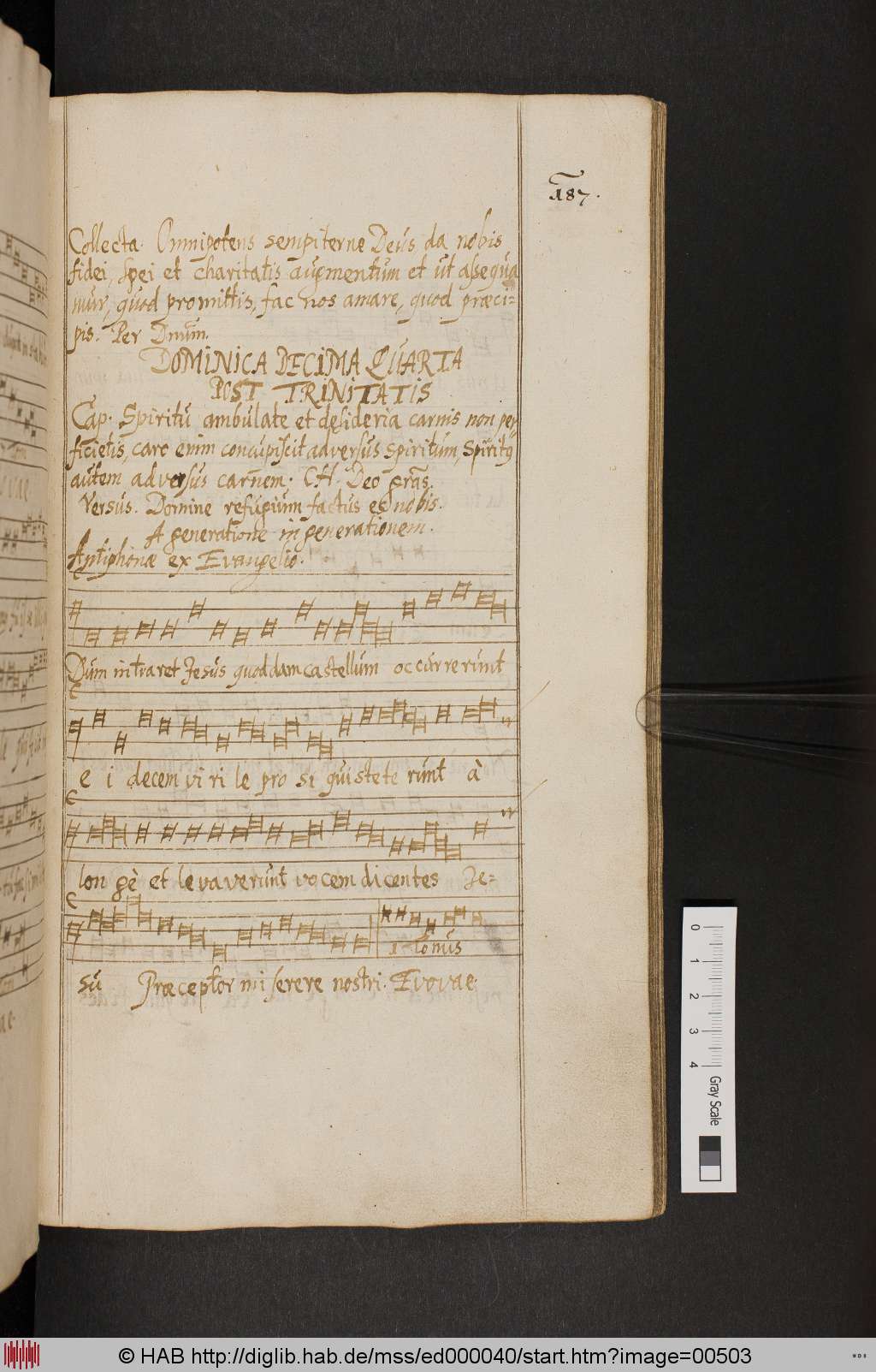 http://diglib.hab.de/mss/ed000040/00503.jpg