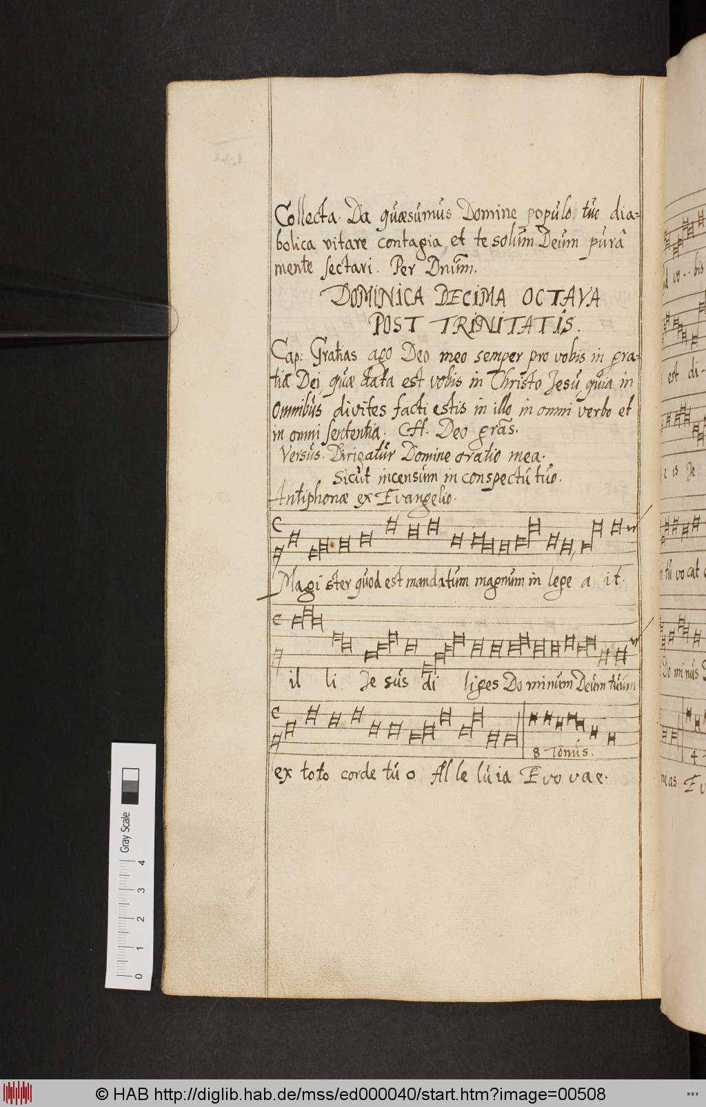 http://diglib.hab.de/mss/ed000040/00508.jpg