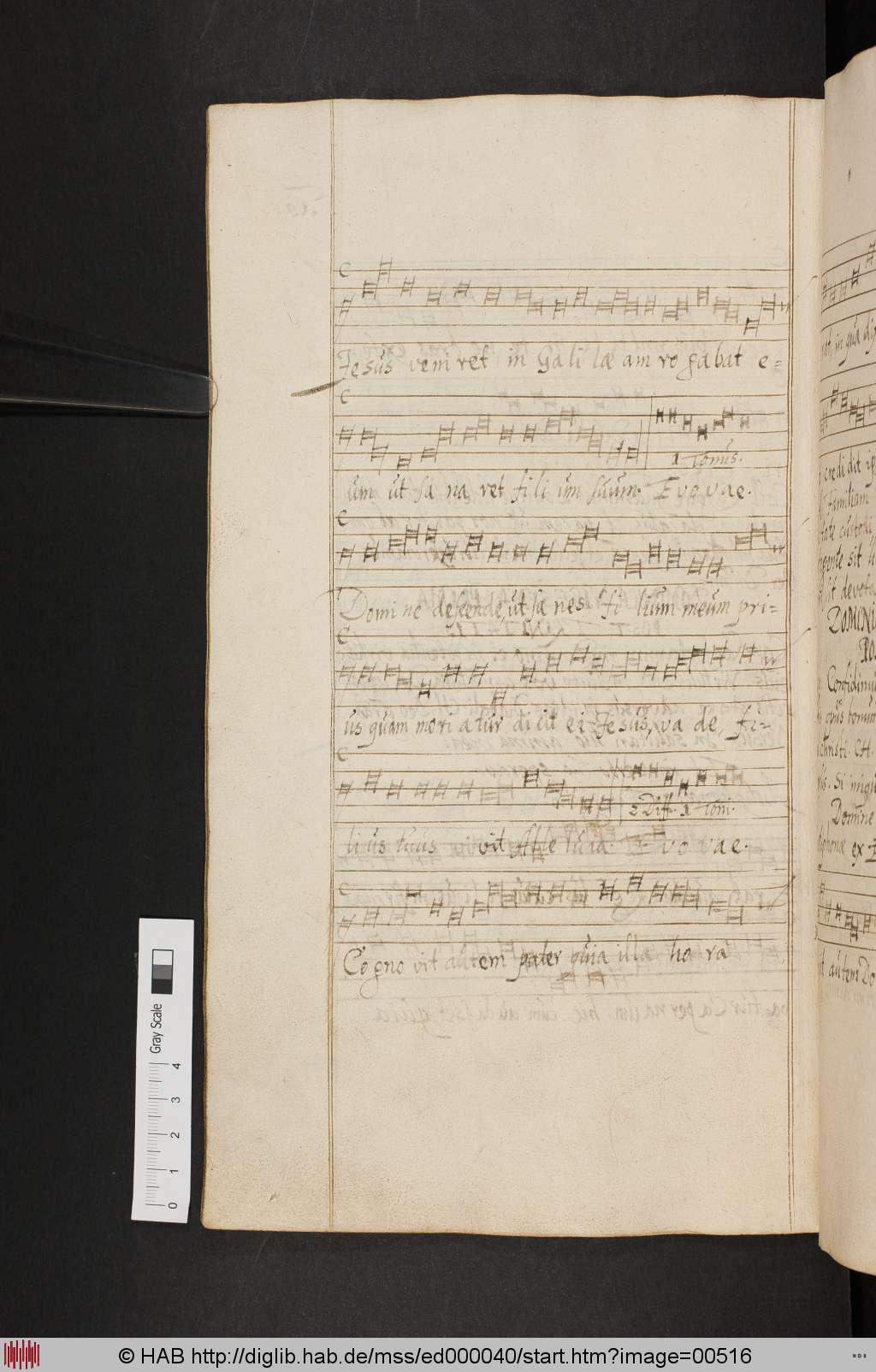 http://diglib.hab.de/mss/ed000040/00516.jpg