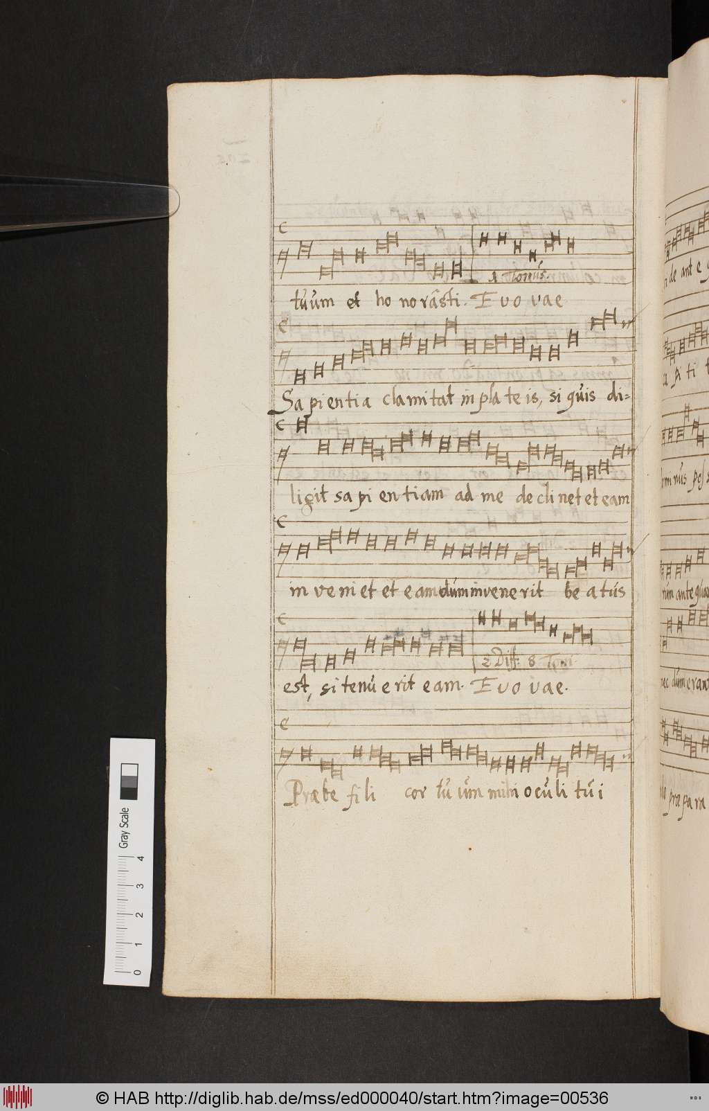 http://diglib.hab.de/mss/ed000040/00536.jpg