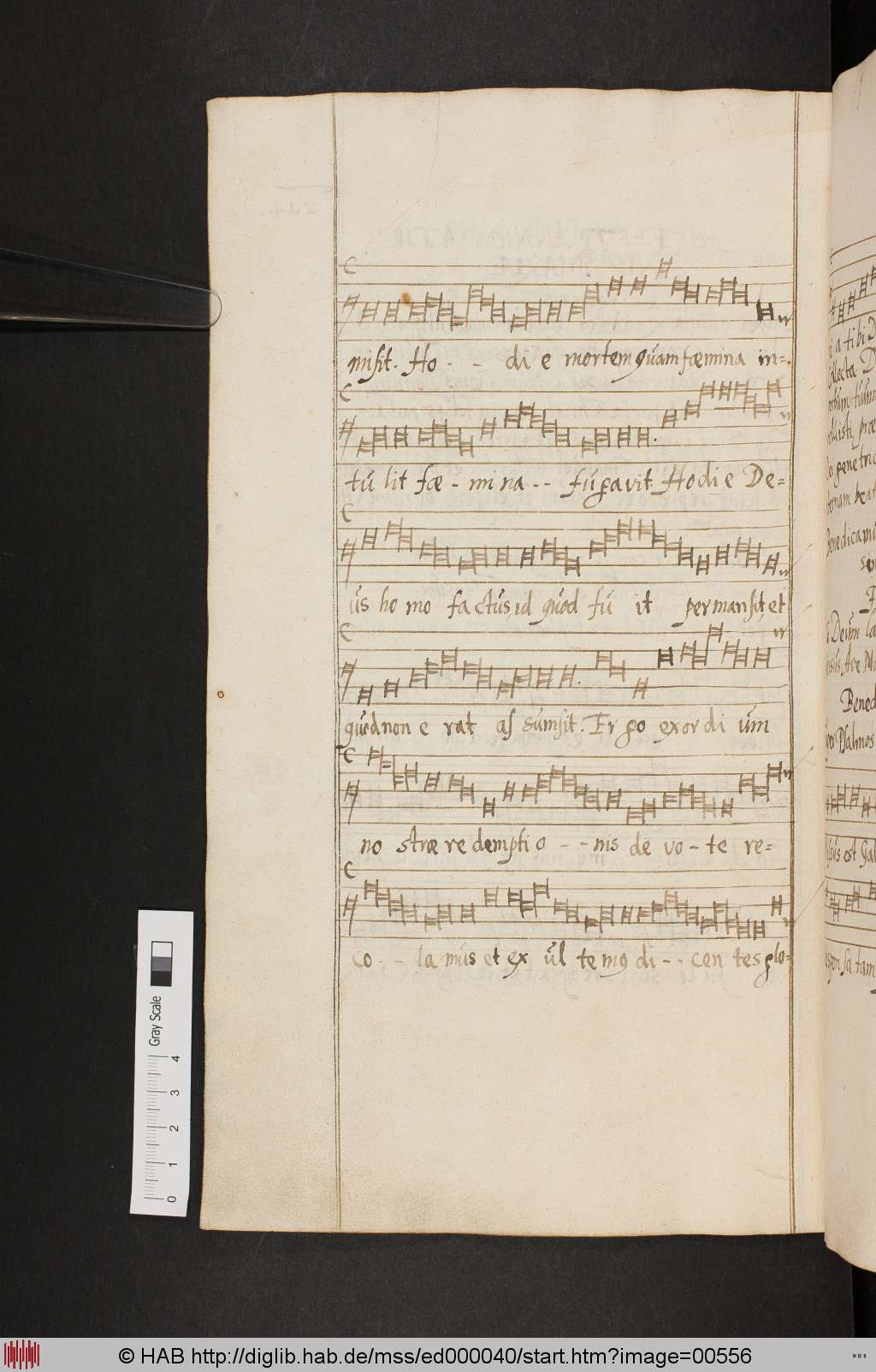 http://diglib.hab.de/mss/ed000040/00556.jpg
