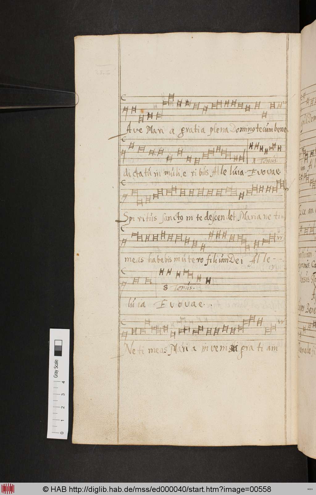 http://diglib.hab.de/mss/ed000040/00558.jpg