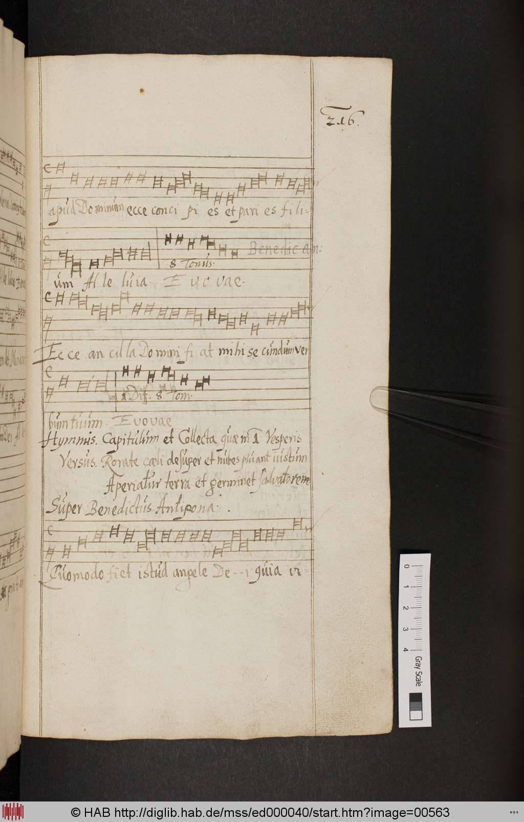 http://diglib.hab.de/mss/ed000040/00563.jpg