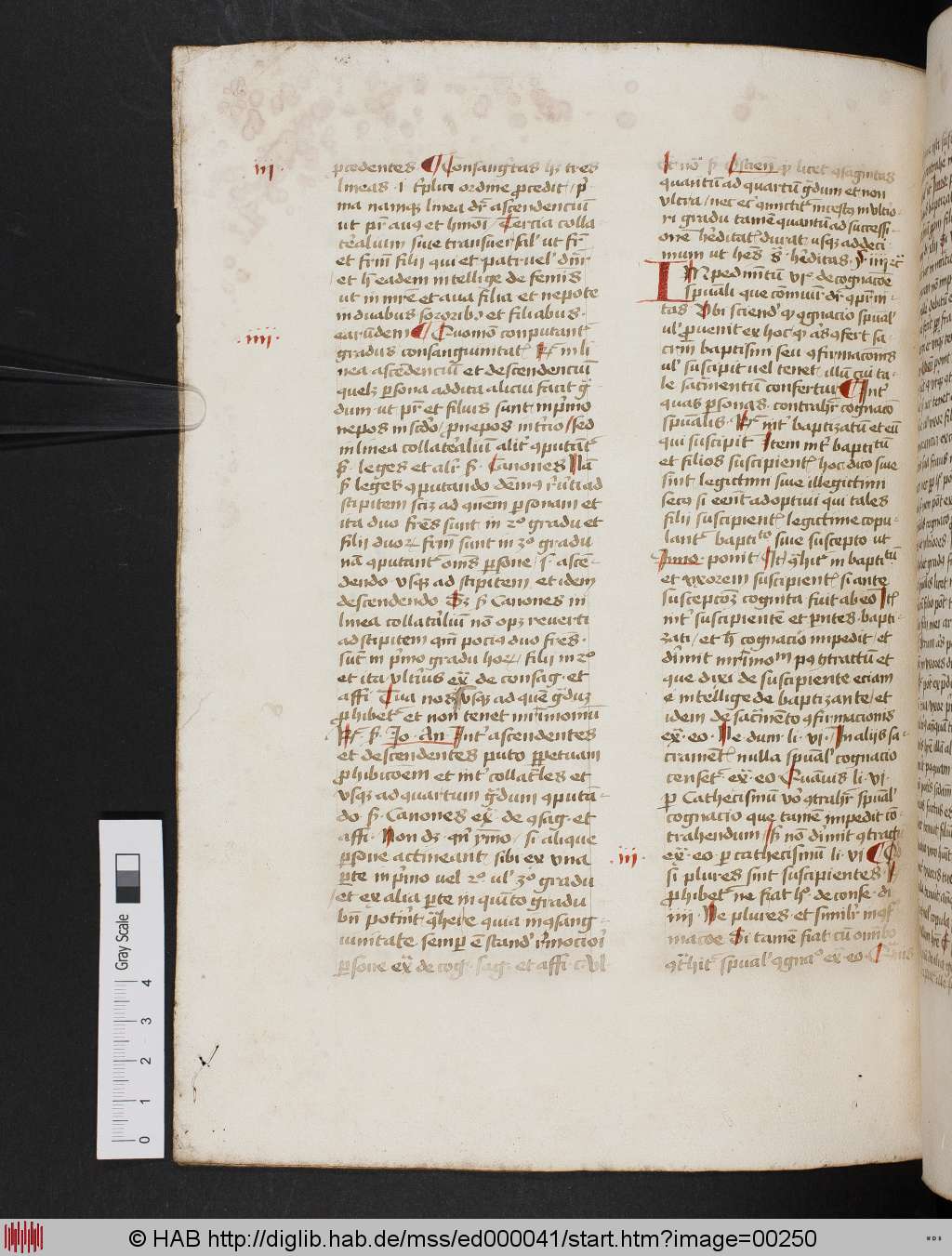 http://diglib.hab.de/mss/ed000041/00250.jpg