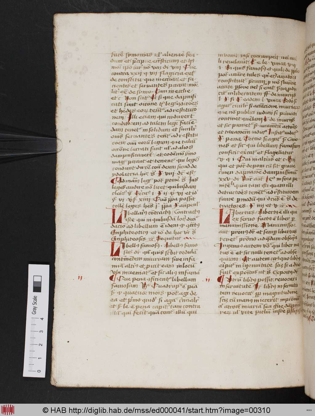 http://diglib.hab.de/mss/ed000041/00310.jpg
