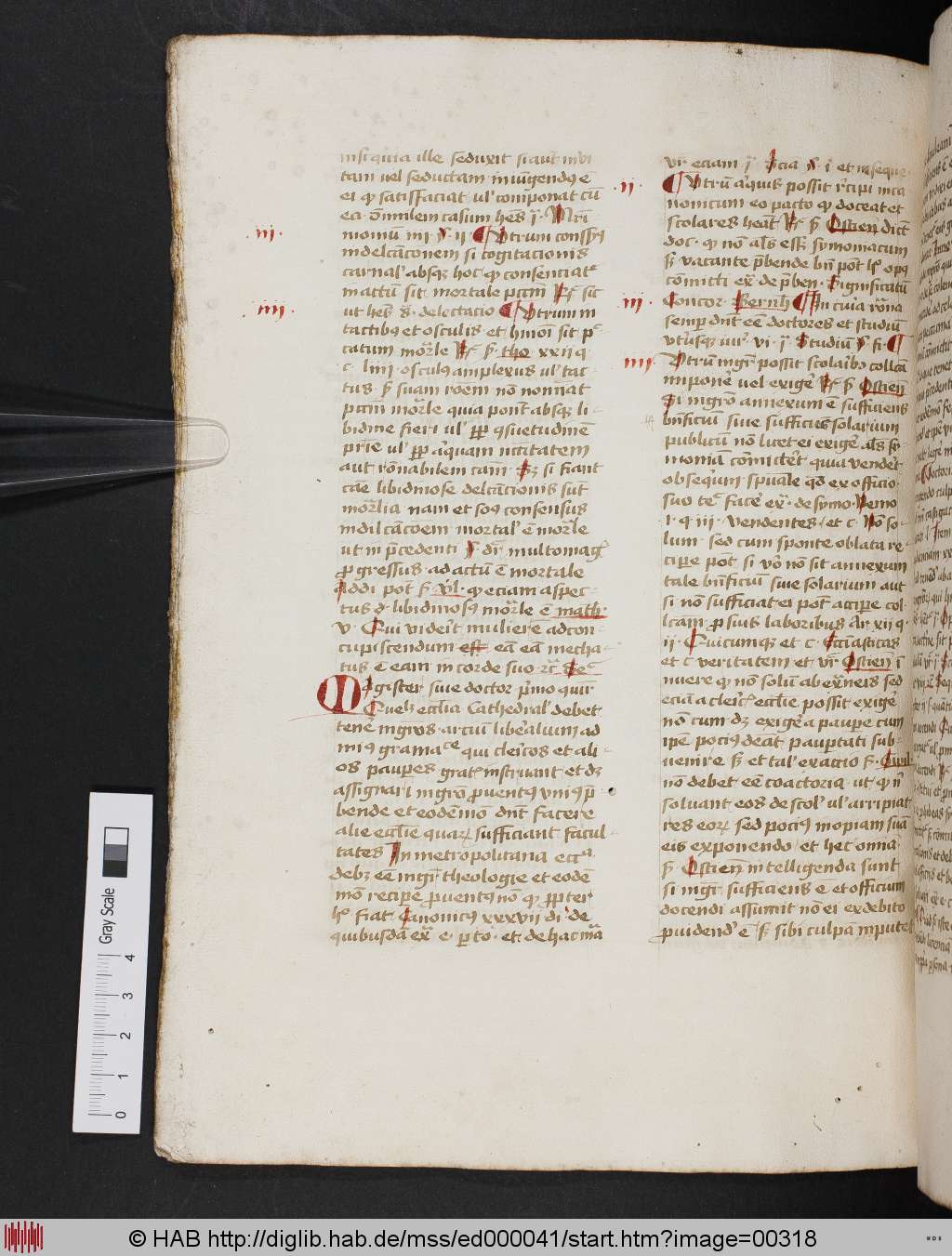 http://diglib.hab.de/mss/ed000041/00318.jpg
