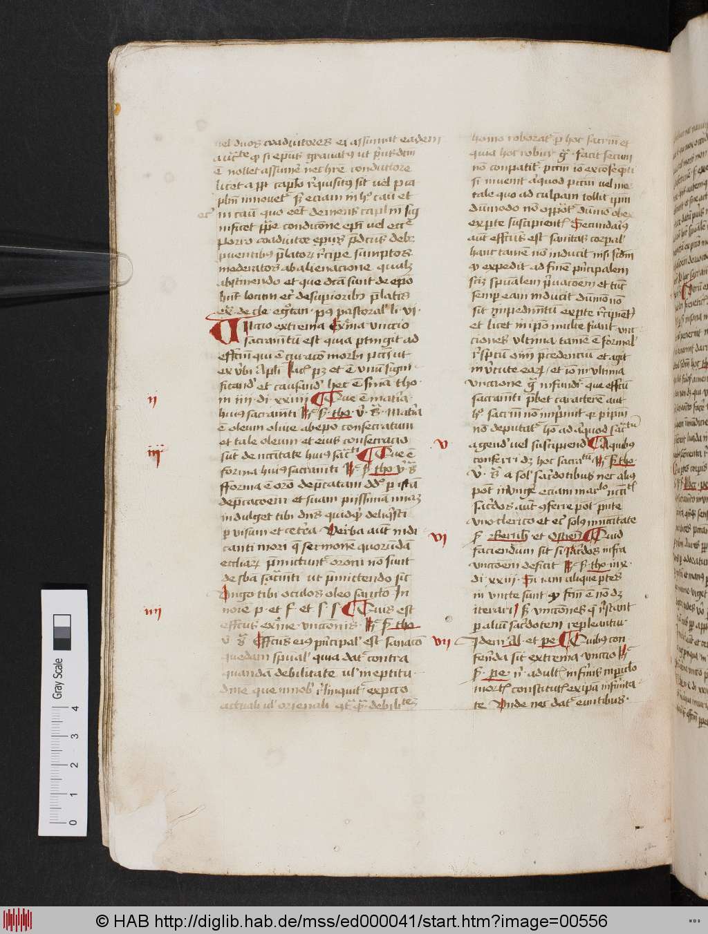 http://diglib.hab.de/mss/ed000041/00556.jpg
