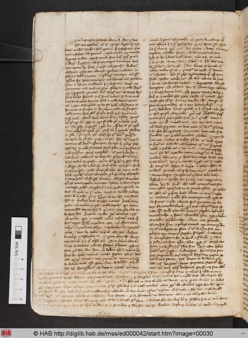 http://diglib.hab.de/mss/ed000042/00030.jpg
