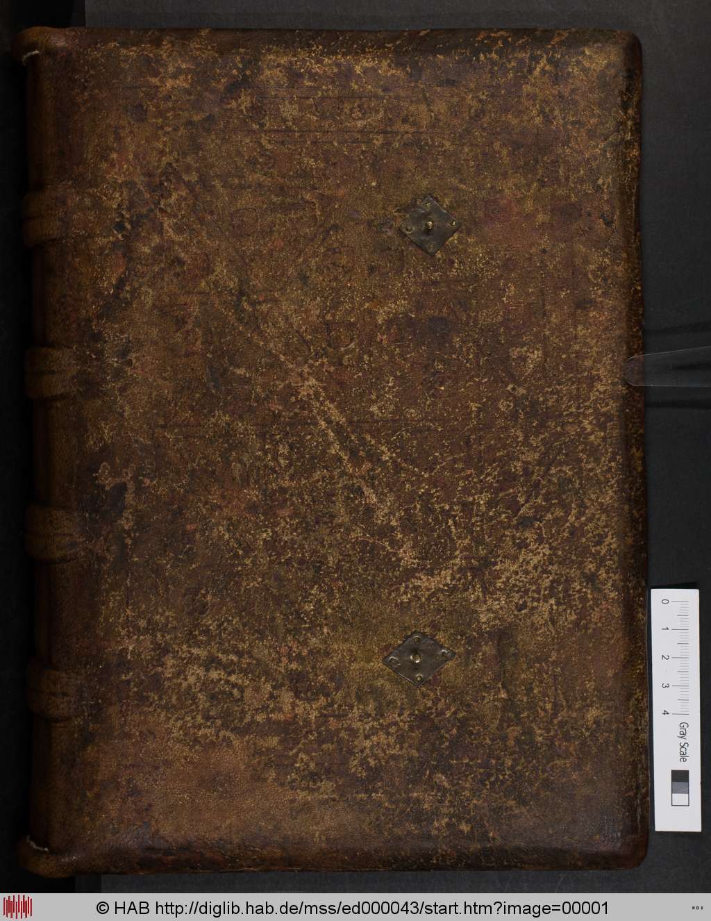 http://diglib.hab.de/mss/ed000043/00001.jpg