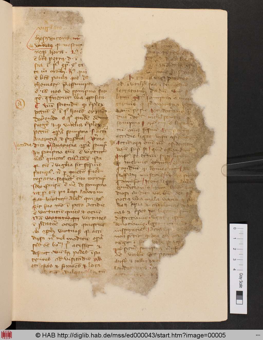 http://diglib.hab.de/mss/ed000043/00005.jpg