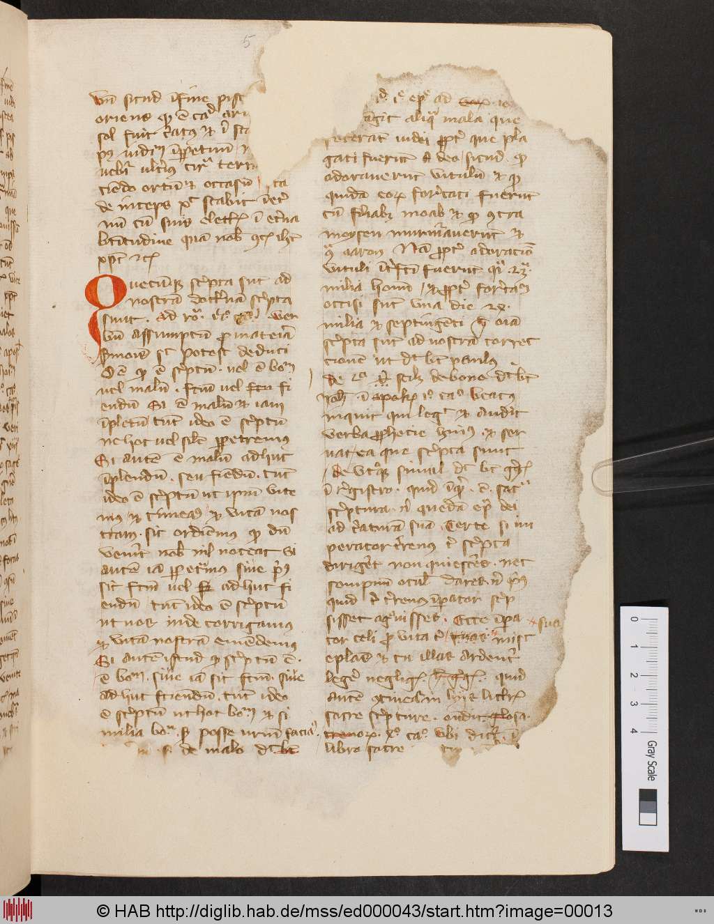 http://diglib.hab.de/mss/ed000043/00013.jpg