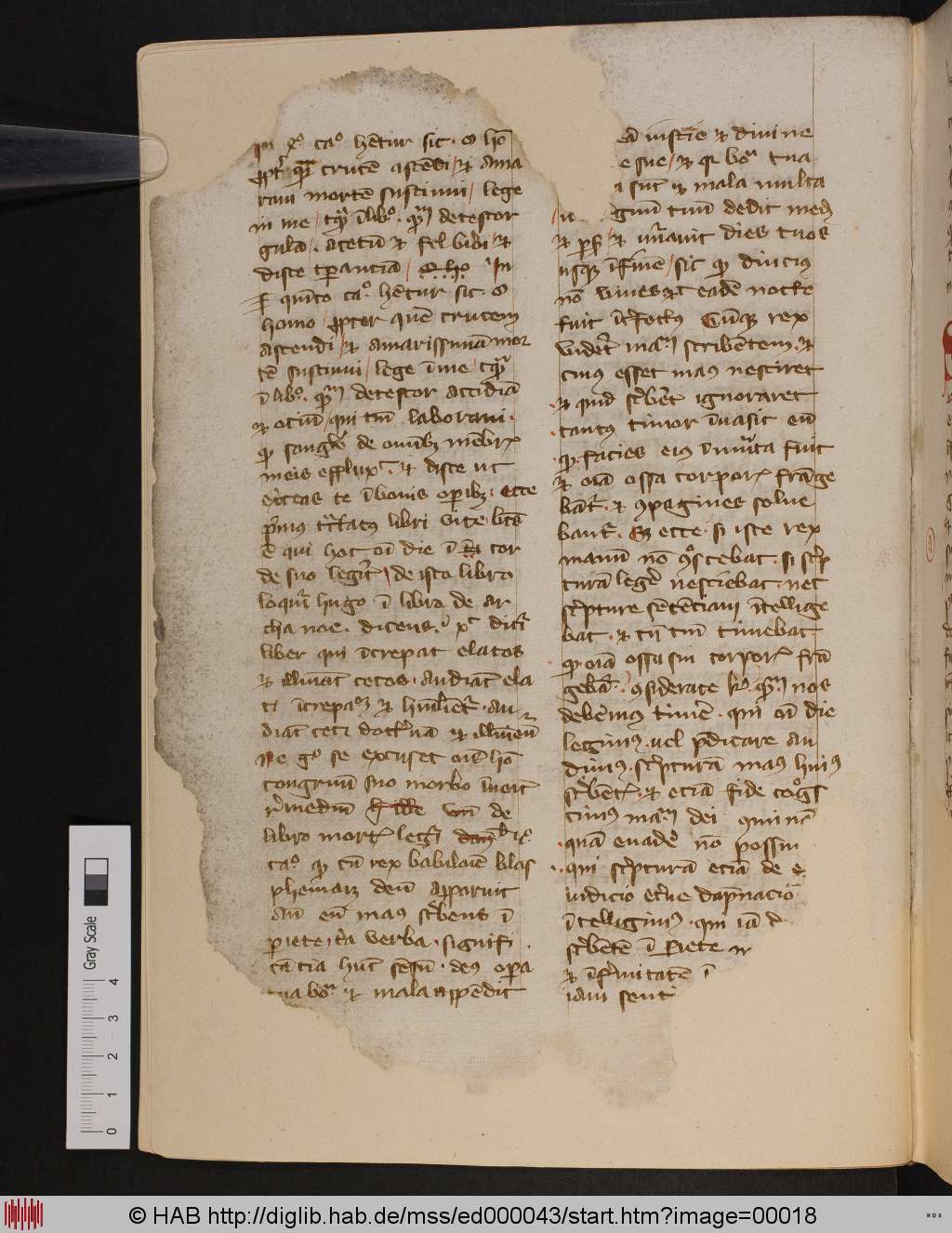 http://diglib.hab.de/mss/ed000043/00018.jpg