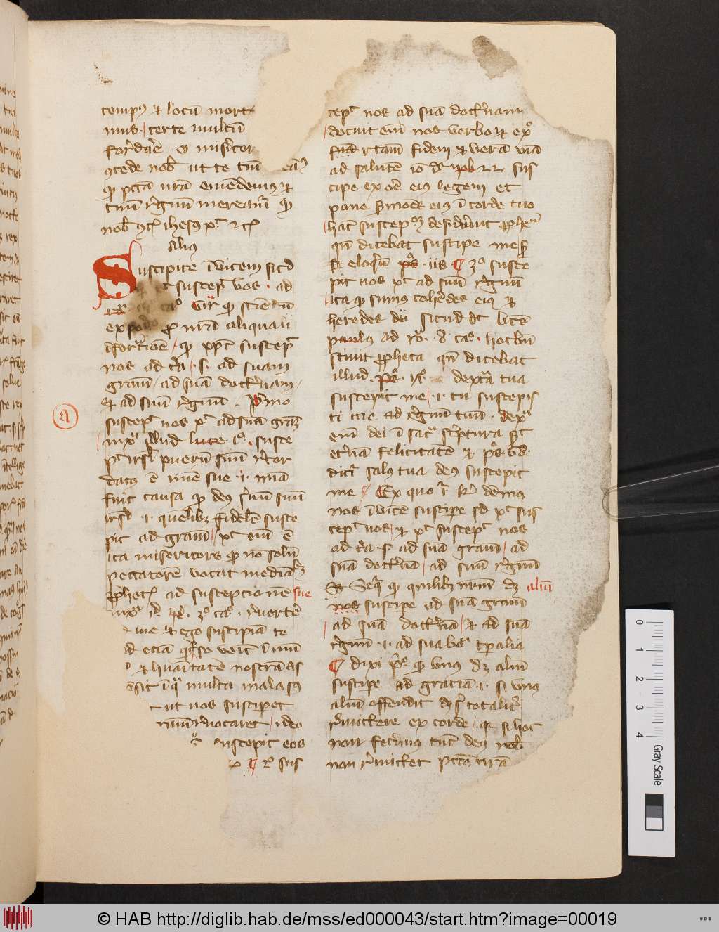 http://diglib.hab.de/mss/ed000043/00019.jpg