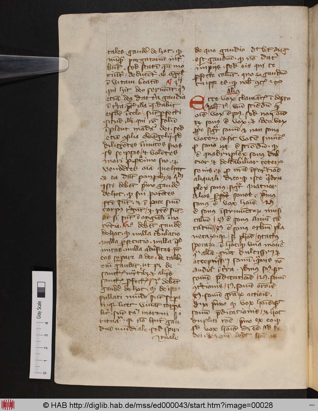 http://diglib.hab.de/mss/ed000043/00028.jpg