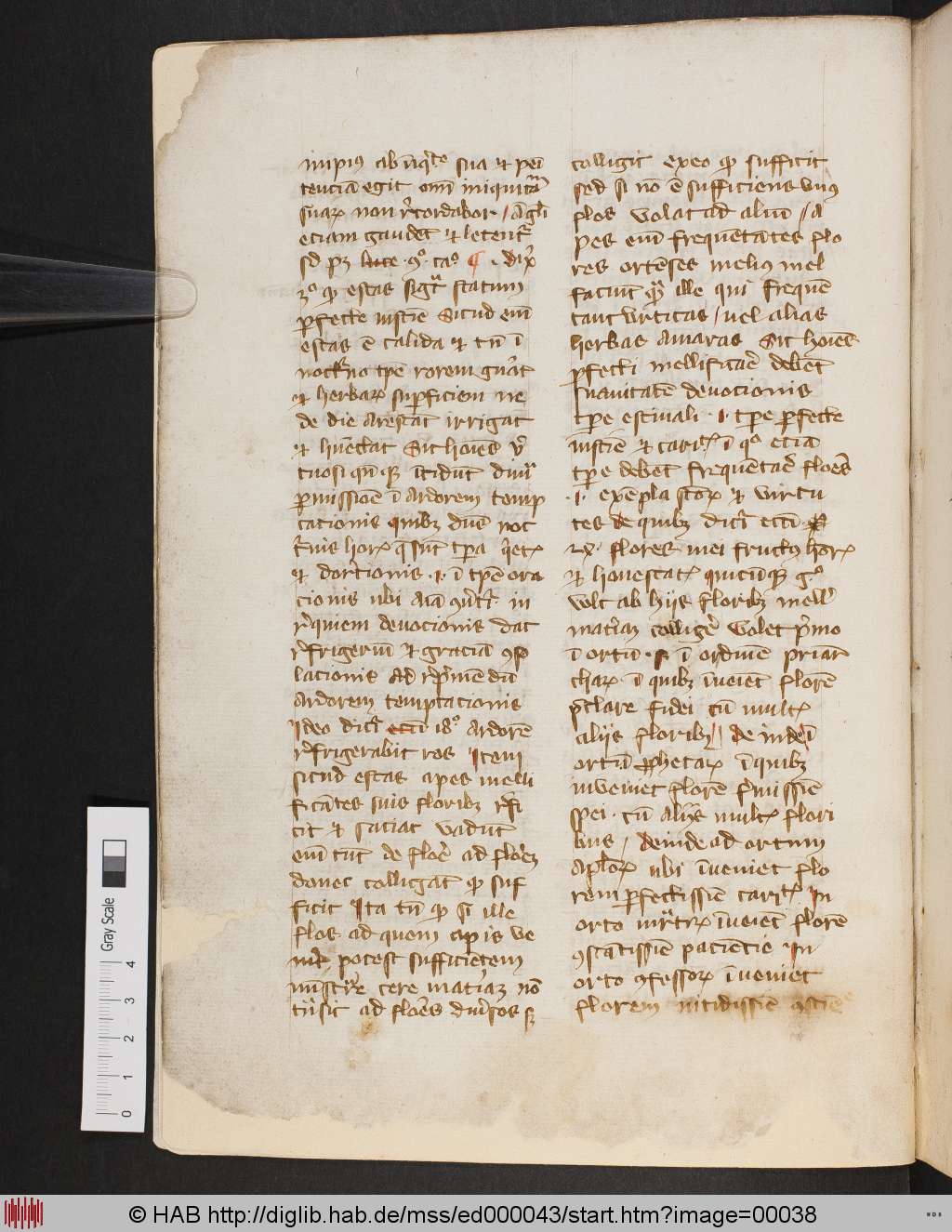 http://diglib.hab.de/mss/ed000043/00038.jpg