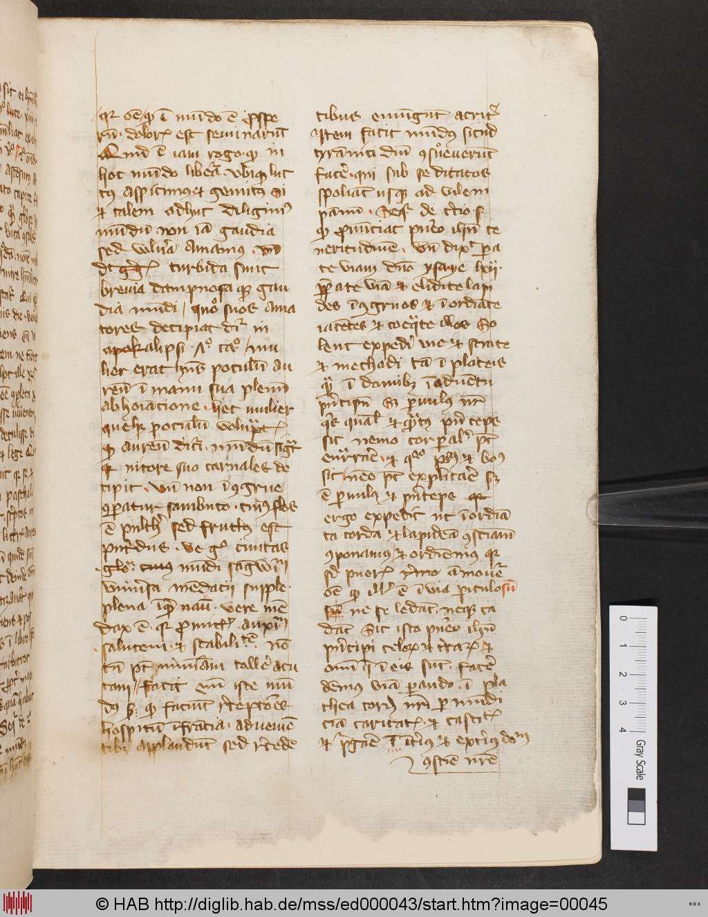 http://diglib.hab.de/mss/ed000043/00045.jpg