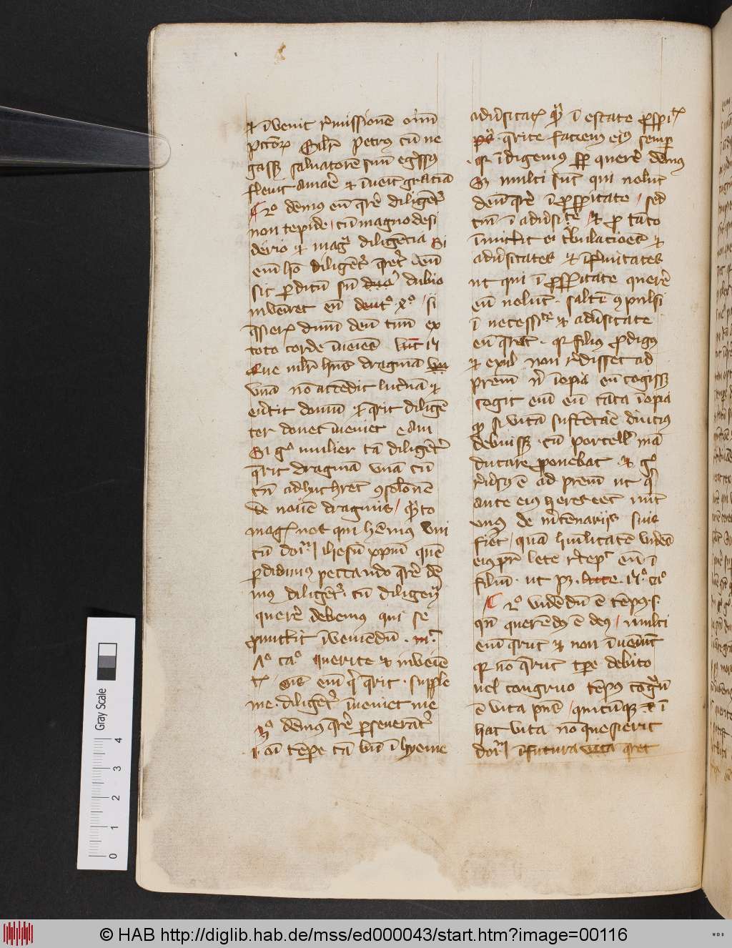 http://diglib.hab.de/mss/ed000043/00116.jpg