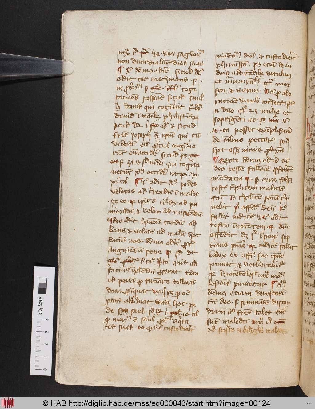http://diglib.hab.de/mss/ed000043/00124.jpg