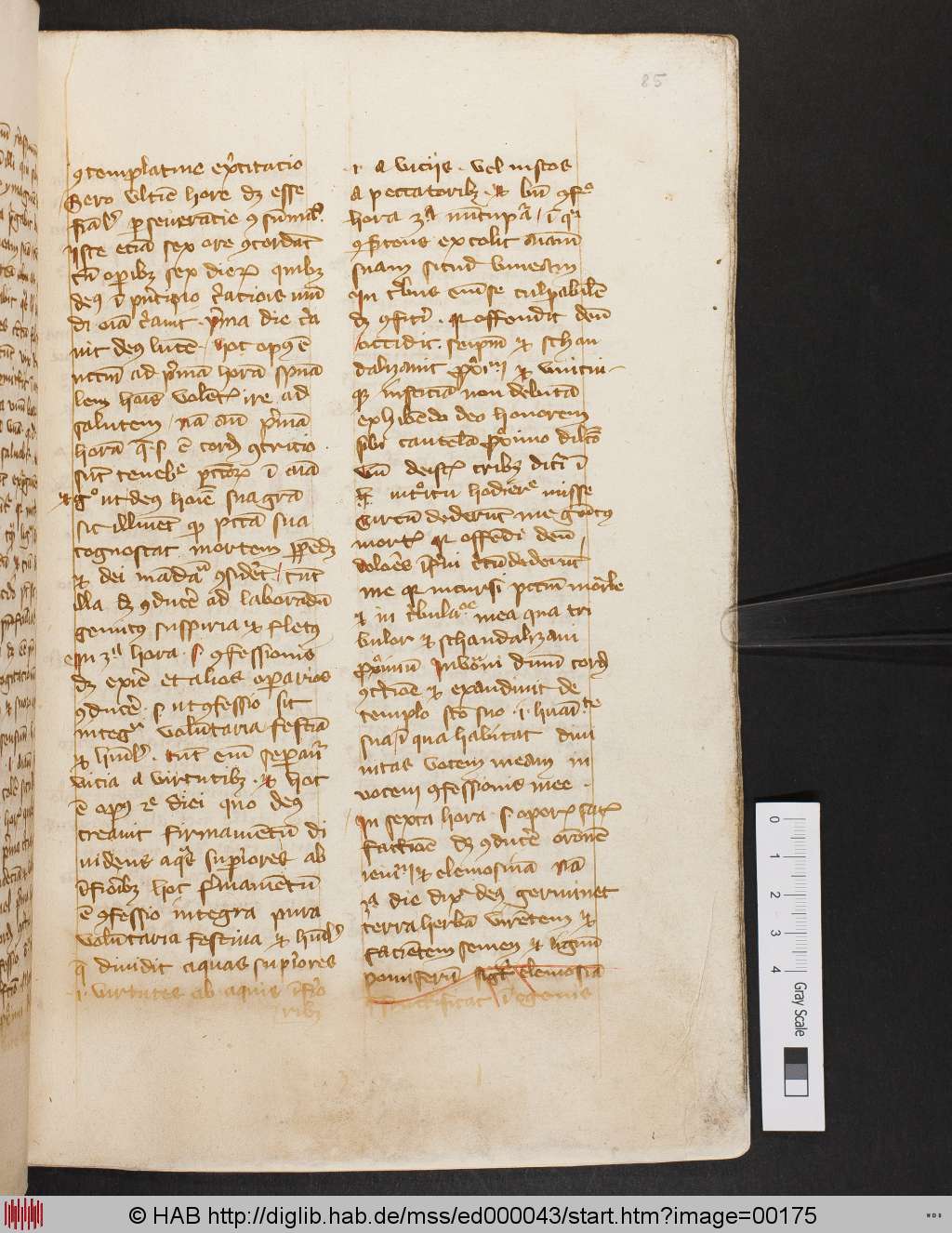 http://diglib.hab.de/mss/ed000043/00175.jpg