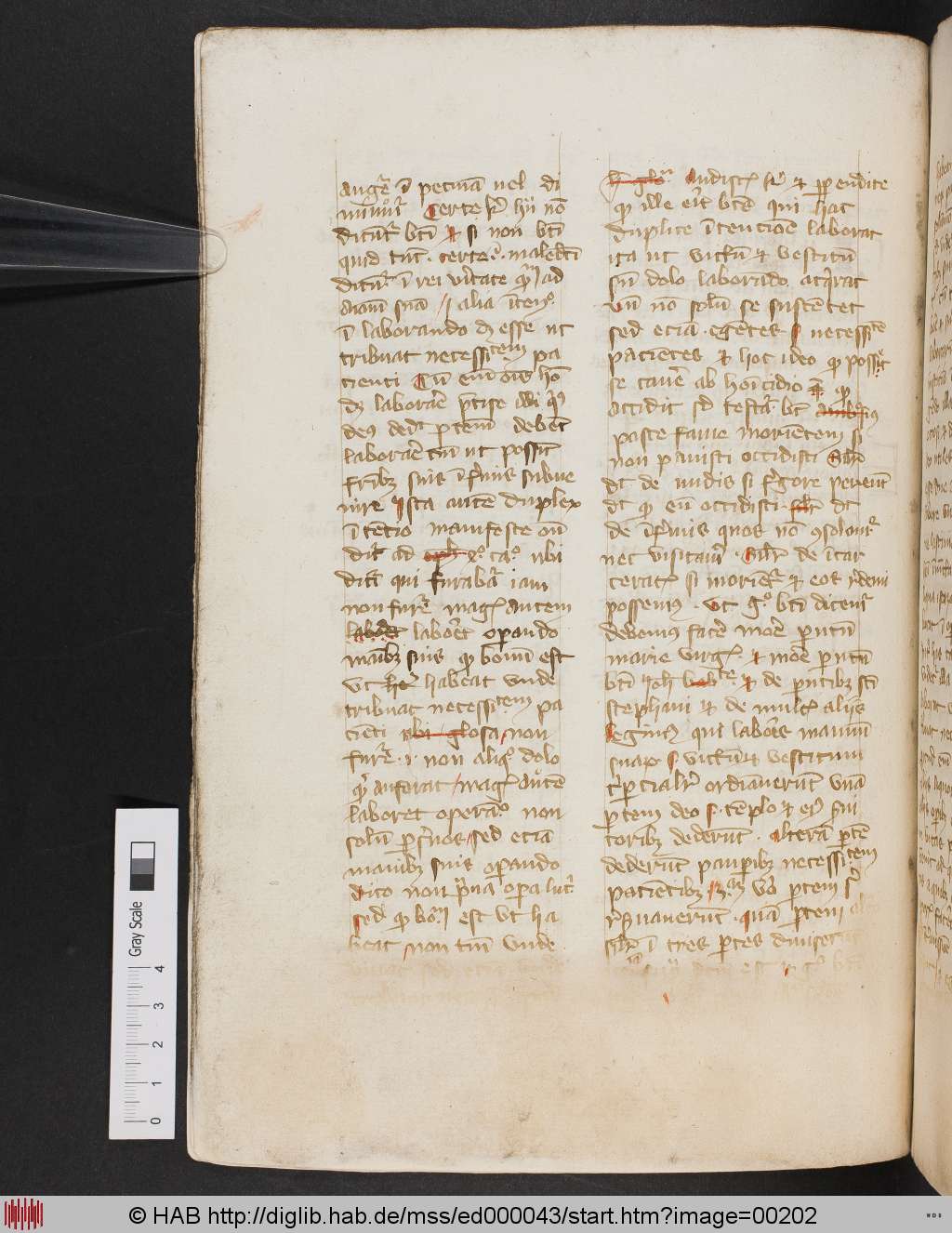 http://diglib.hab.de/mss/ed000043/00202.jpg