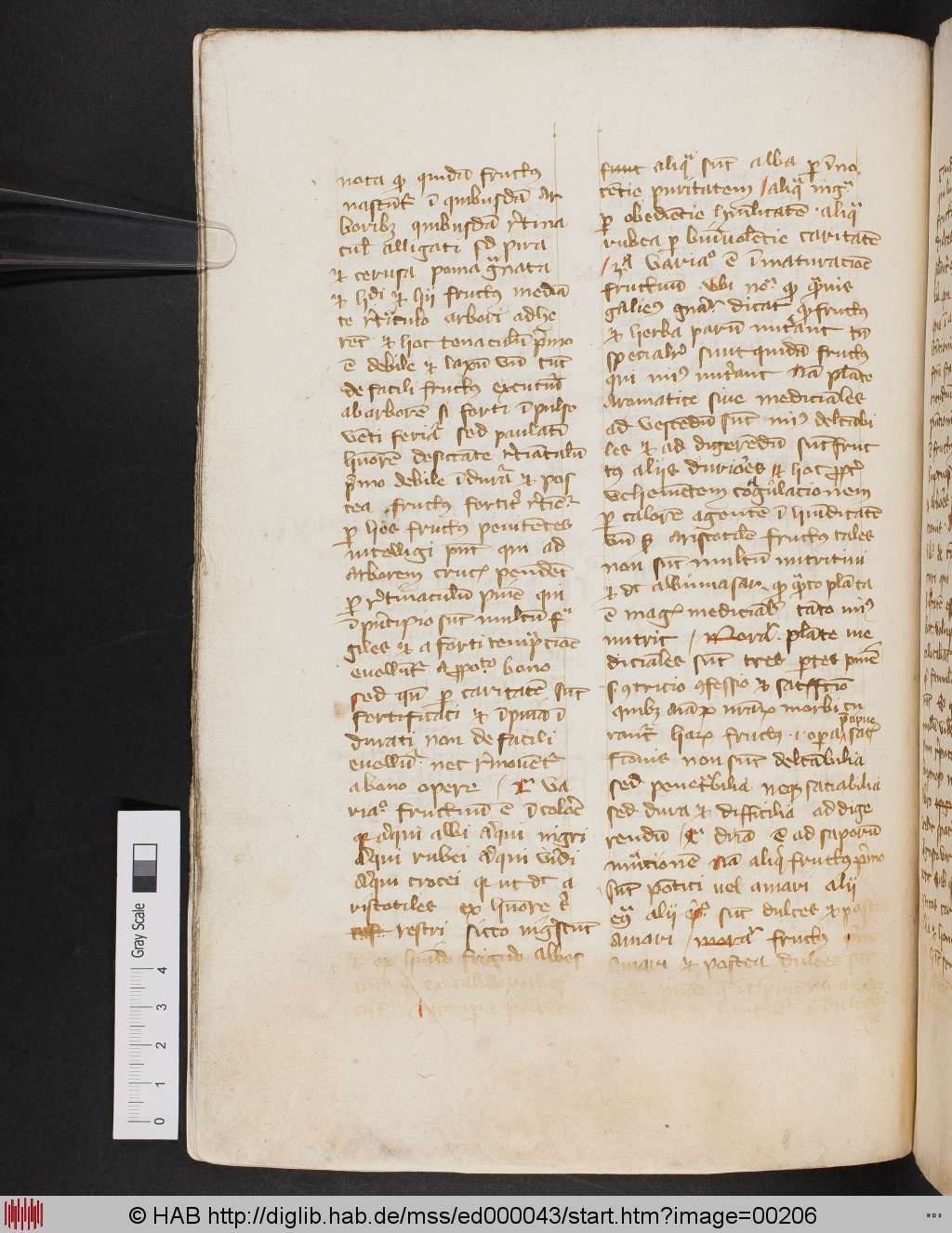 http://diglib.hab.de/mss/ed000043/00206.jpg
