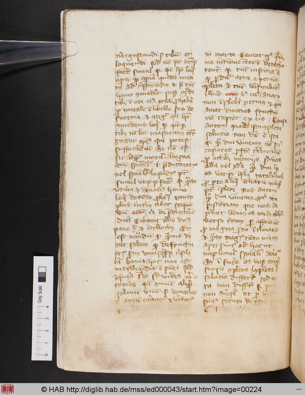 http://diglib.hab.de/mss/ed000043/00224.jpg