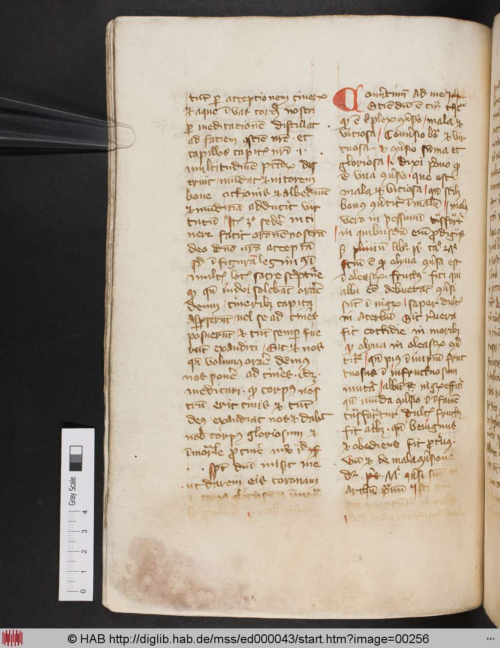 http://diglib.hab.de/mss/ed000043/00256.jpg