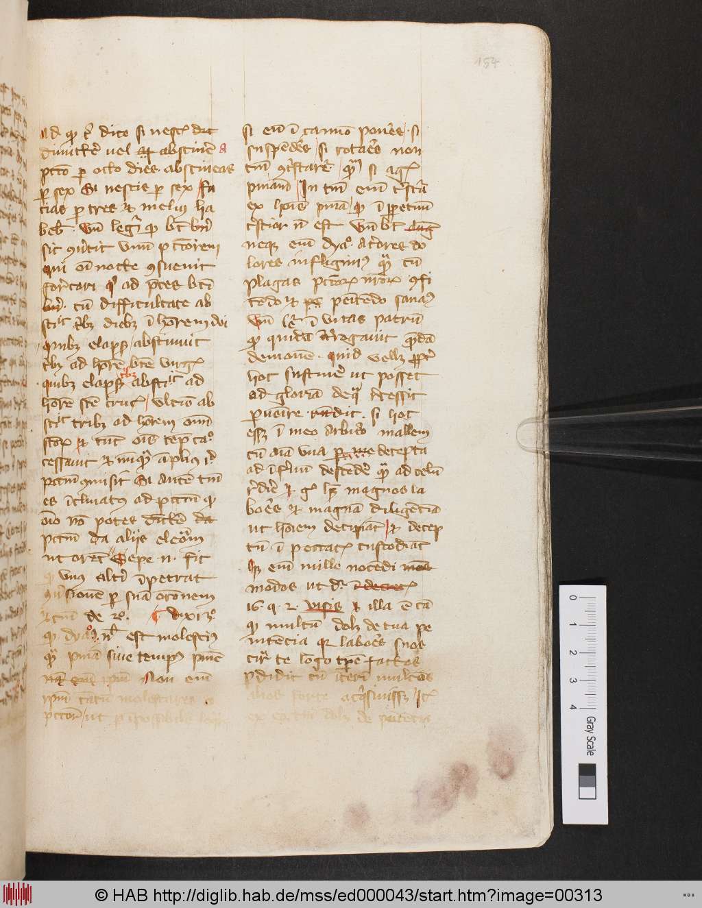 http://diglib.hab.de/mss/ed000043/00313.jpg
