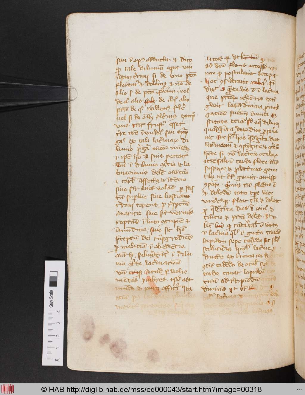 http://diglib.hab.de/mss/ed000043/00318.jpg