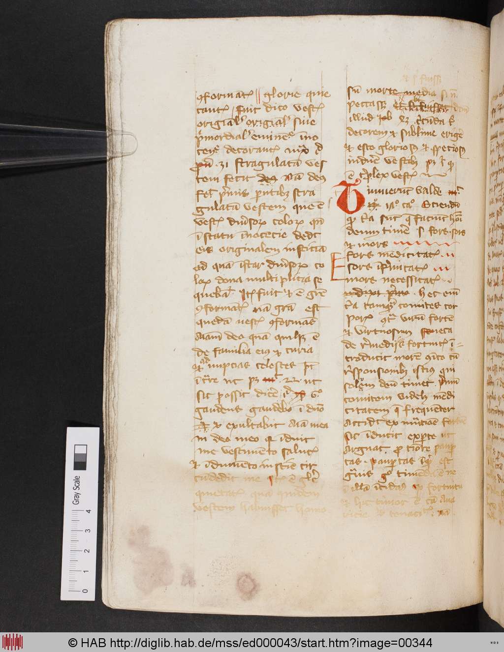 http://diglib.hab.de/mss/ed000043/00344.jpg