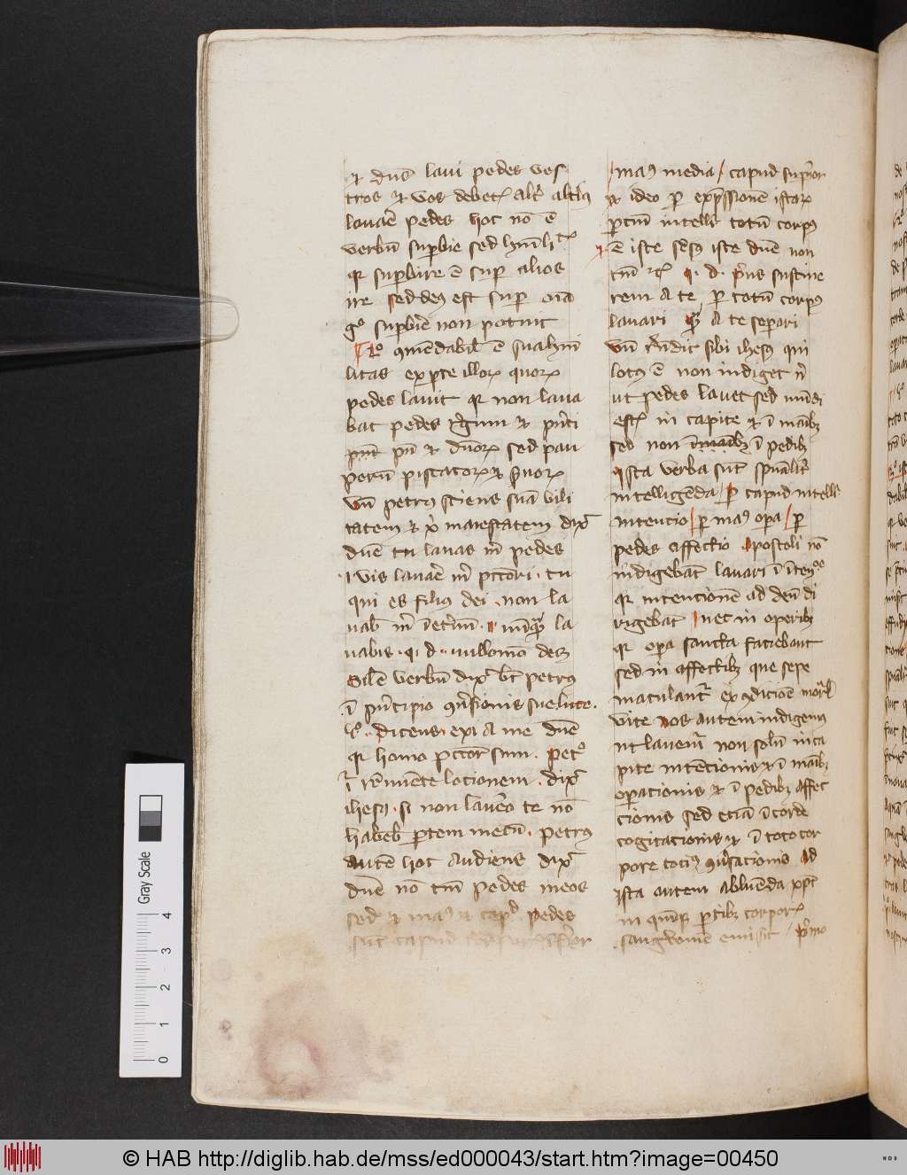 http://diglib.hab.de/mss/ed000043/00450.jpg