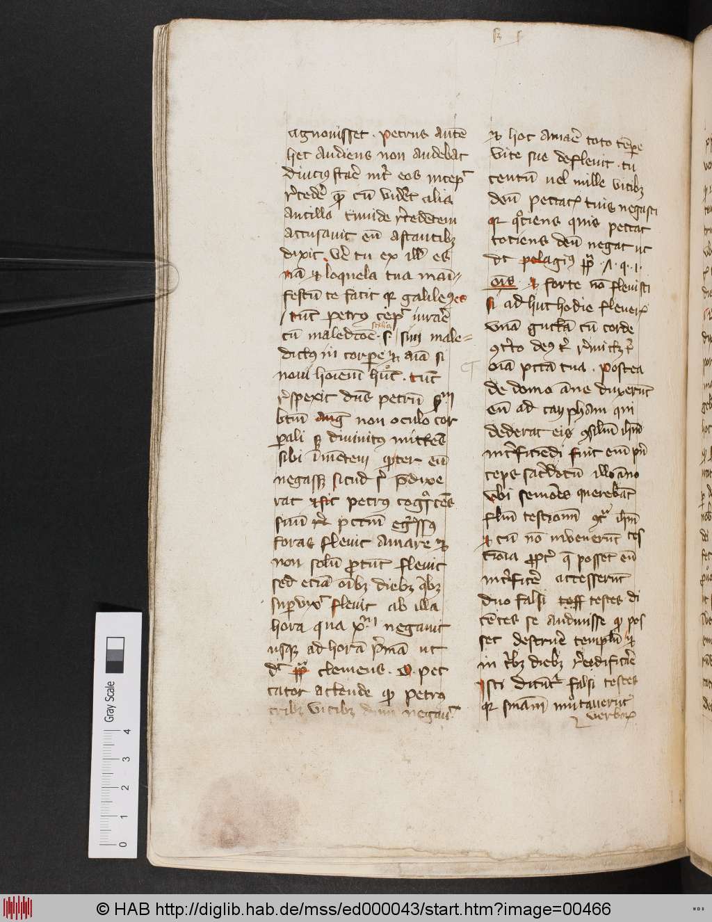 http://diglib.hab.de/mss/ed000043/00466.jpg