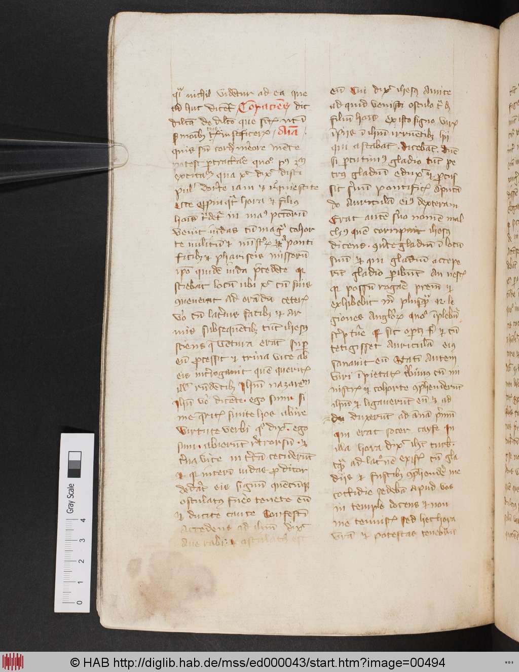 http://diglib.hab.de/mss/ed000043/00494.jpg