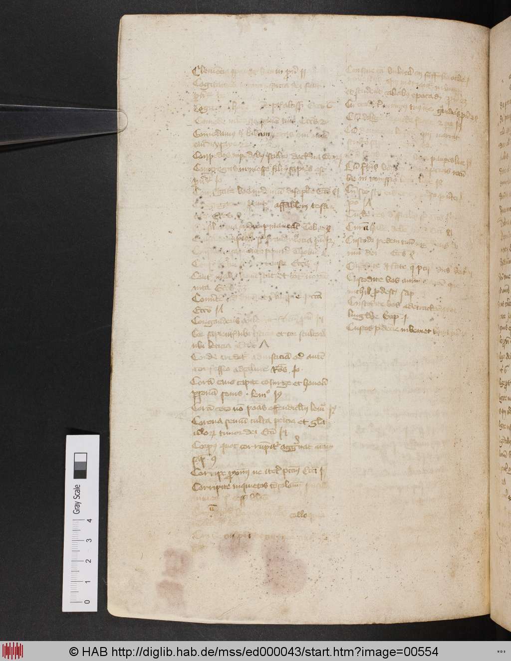 http://diglib.hab.de/mss/ed000043/00554.jpg