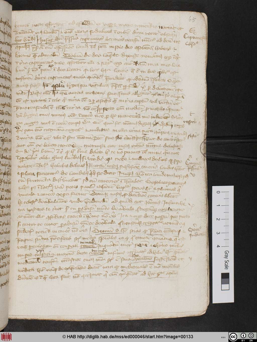 http://diglib.hab.de/mss/ed000046/00133.jpg