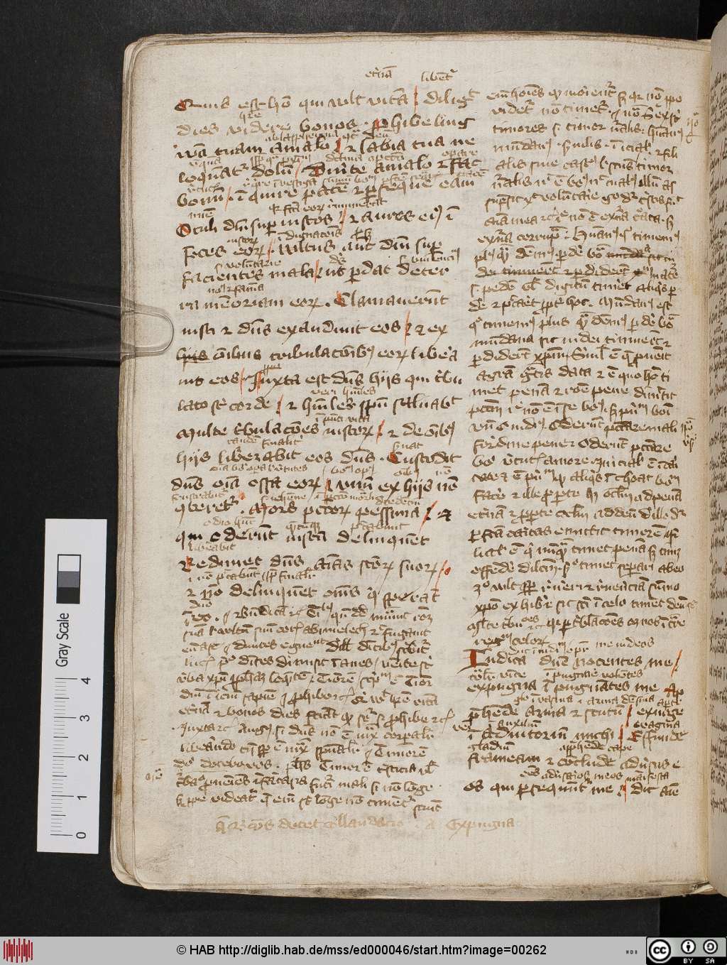 http://diglib.hab.de/mss/ed000046/00262.jpg