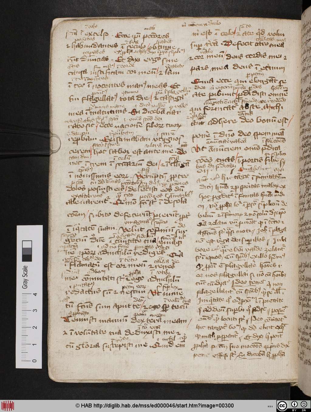 http://diglib.hab.de/mss/ed000046/00300.jpg