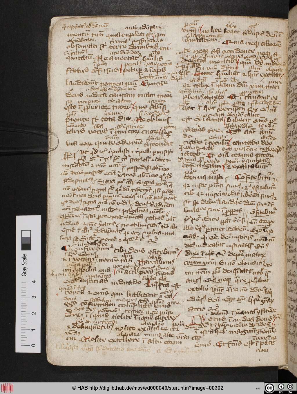 http://diglib.hab.de/mss/ed000046/00302.jpg