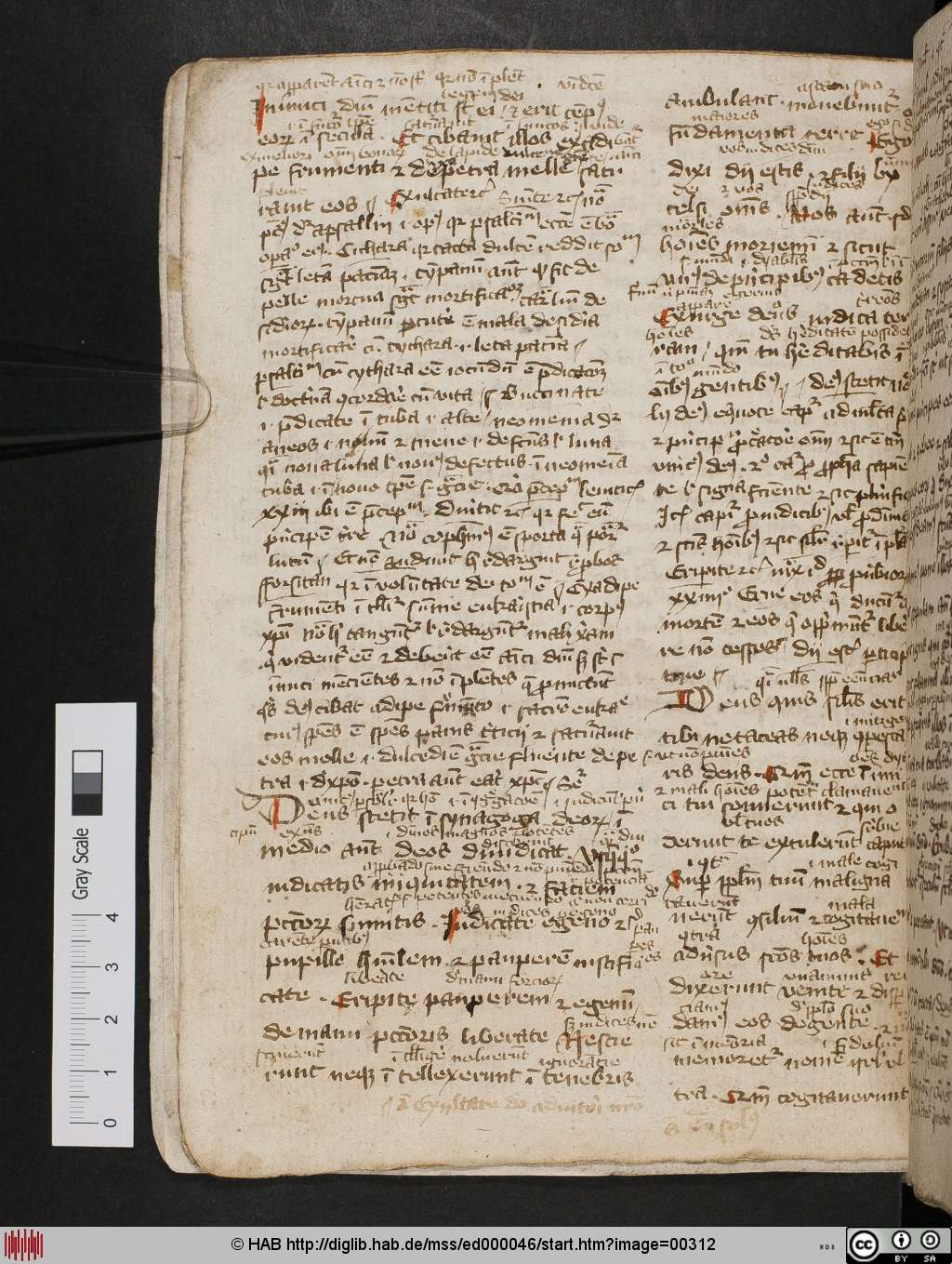 http://diglib.hab.de/mss/ed000046/00312.jpg
