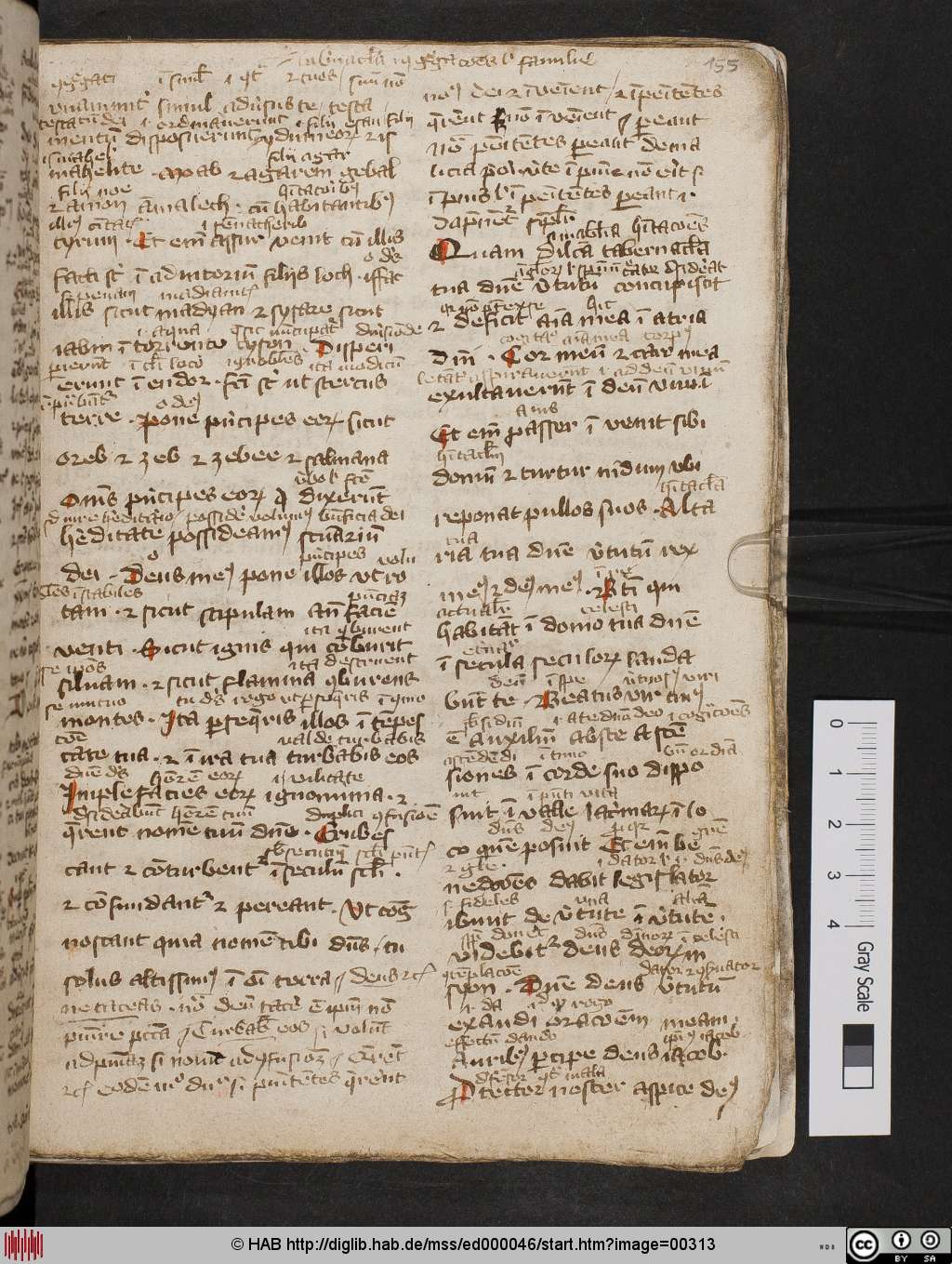 http://diglib.hab.de/mss/ed000046/00313.jpg