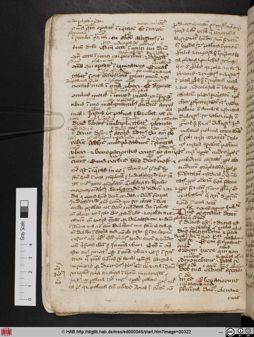http://diglib.hab.de/mss/ed000046/00322.jpg