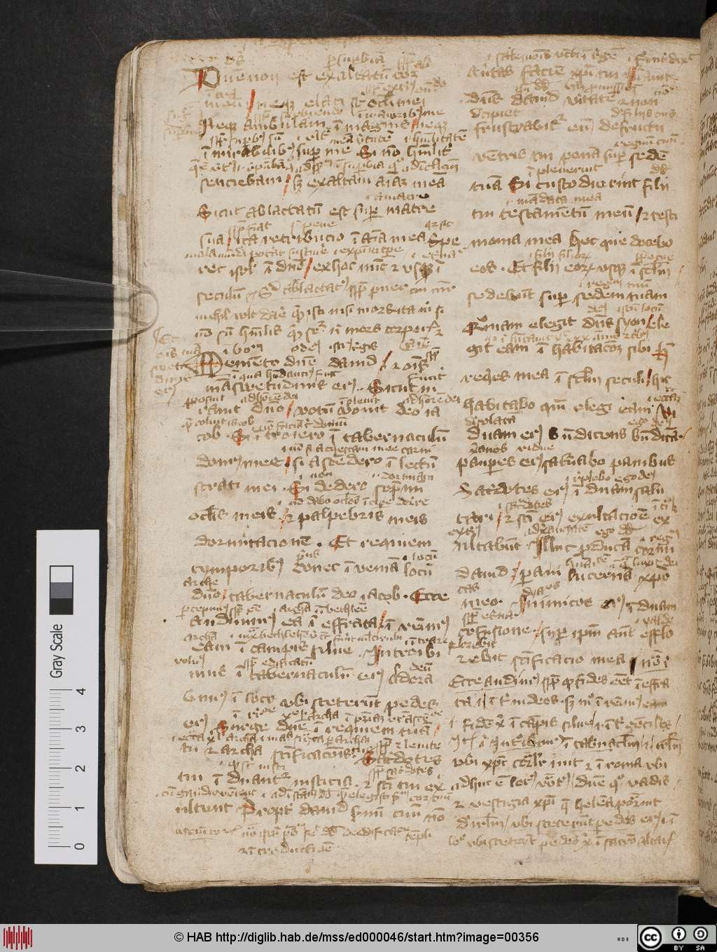 http://diglib.hab.de/mss/ed000046/00356.jpg