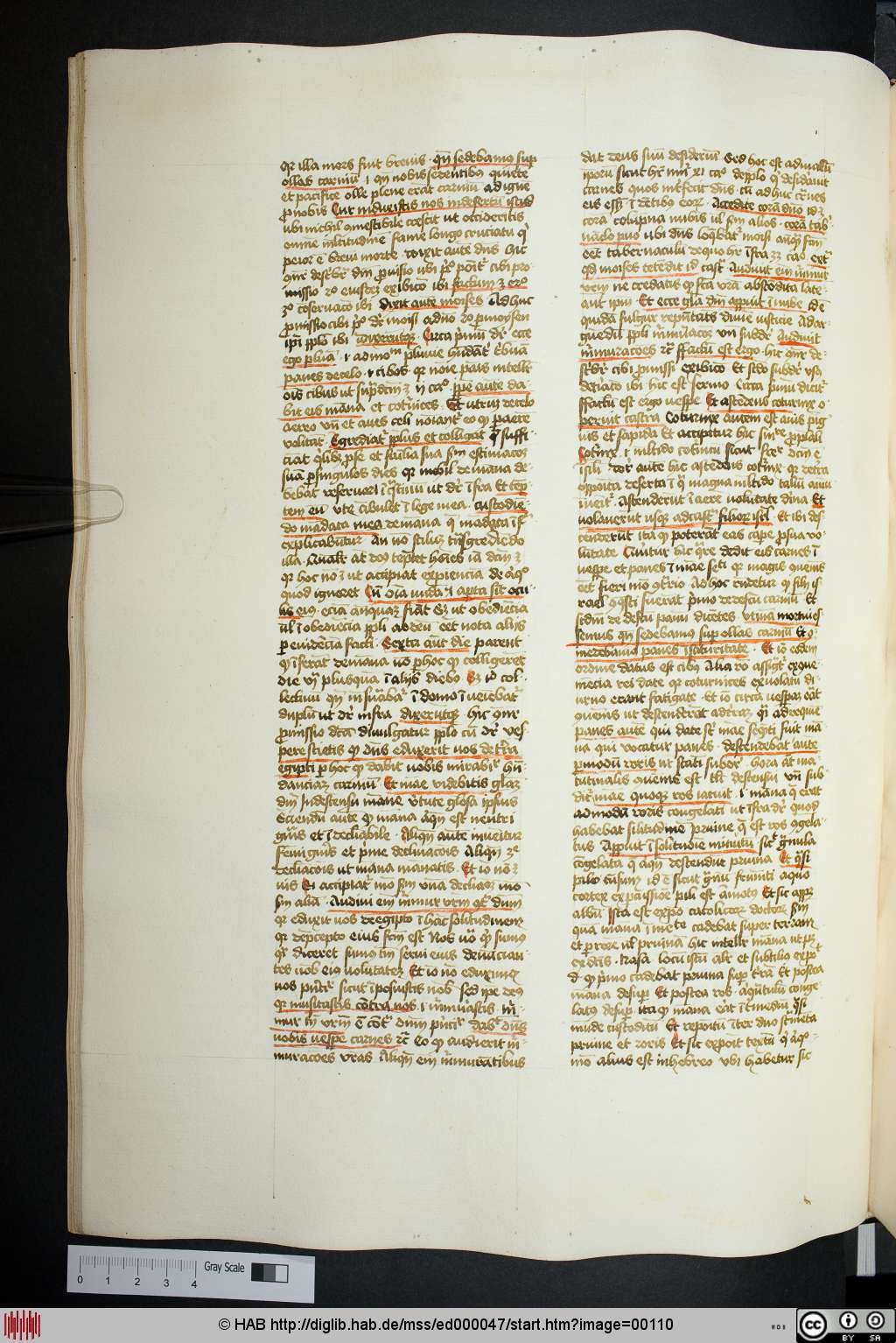 http://diglib.hab.de/mss/ed000047/00110.jpg